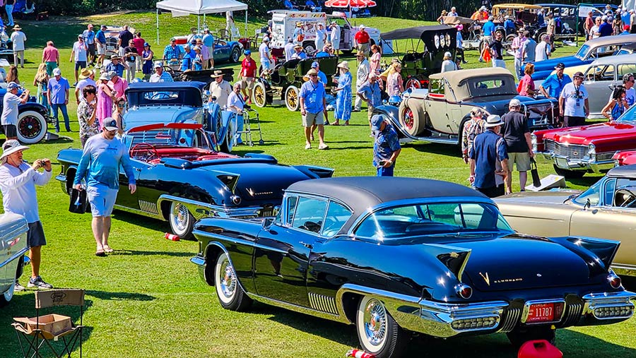 A collection of rare vintage Cadillacs at the Concours car show
